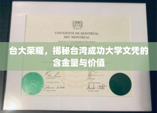 台大光芒，深度解析台湾成功大学文凭的非凡价值与影响力