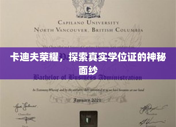 卡迪夫荣耀，揭开真实学位证的神秘面纱