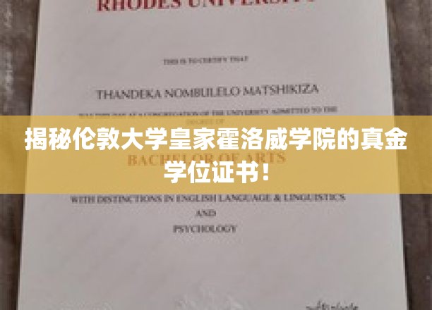 深度解析：伦敦大学皇家霍洛威学院的真金学位证书！