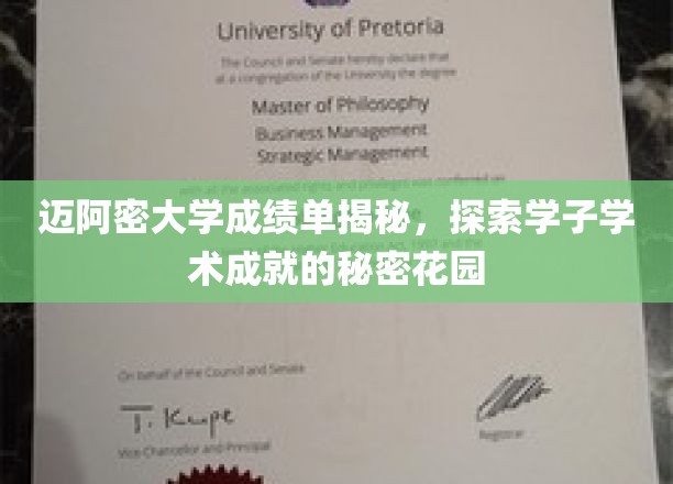 迈阿密大学学霸秘籍，揭秘学子们的学术成就乐园