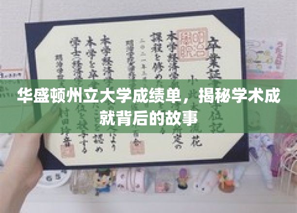 华盛顿州立大学成绩单，揭示学术成就背后的故事