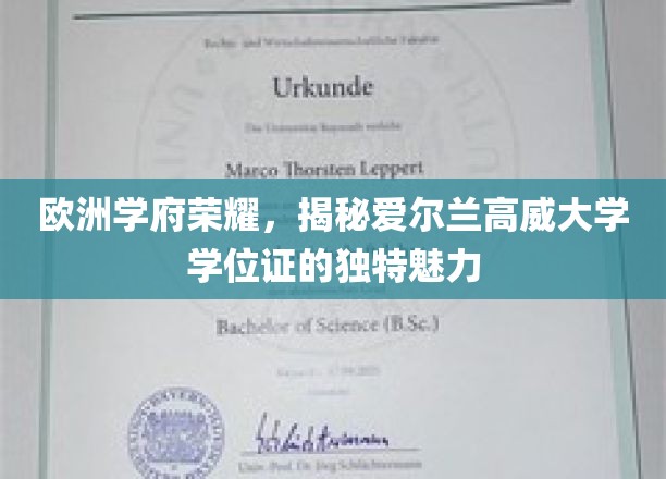 爱尔兰高威大学学位证，探寻欧洲学府的璀璨之光