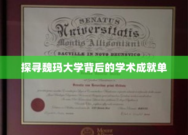解码魏玛大学，学术辉煌背后的秘密宝藏