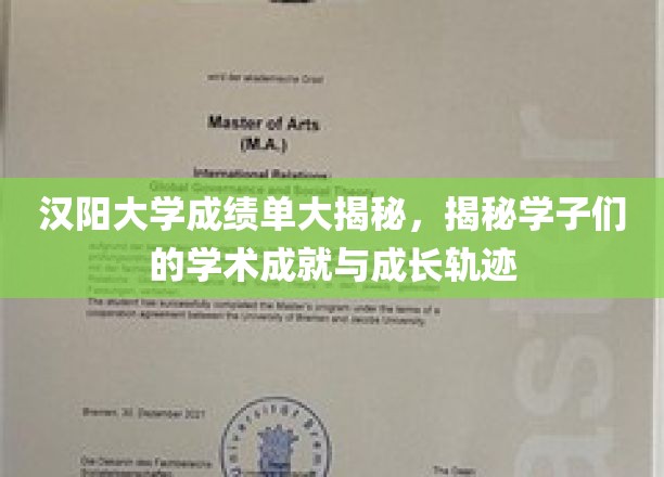 汉阳大学成绩单大揭秘：探寻学子们的学术成就与成长轨迹