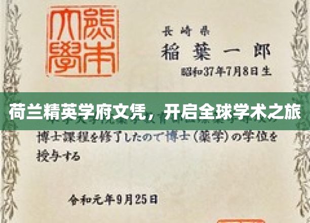 荷兰顶尖学府通行证，引领国际学术探索之旅