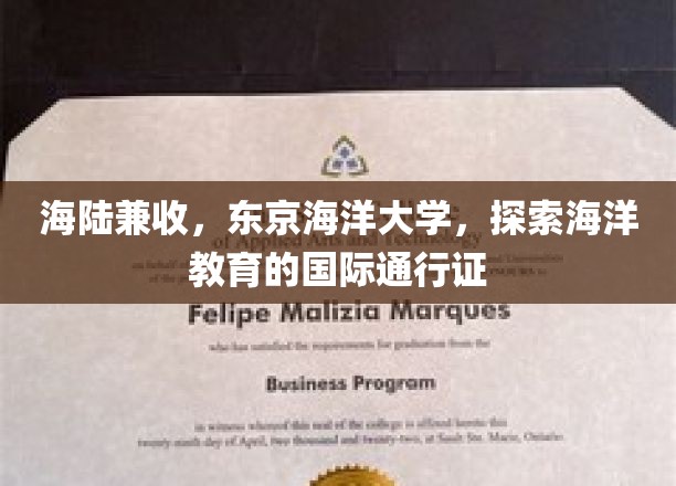 东京海洋大学，跨国界海洋探索，成就全球海洋教育先锋