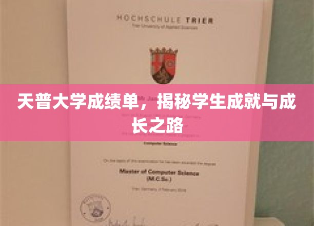 天普大学成绩单，揭秘学生成就与成长之路