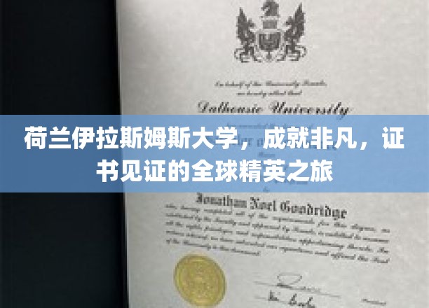 解码荷兰伊拉斯姆斯大学，全球精英的非凡成长之旅