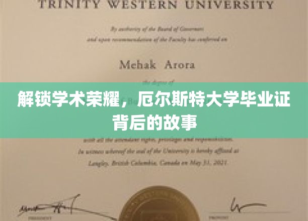 解锁学术荣耀，厄尔斯特大学毕业证背后的故事