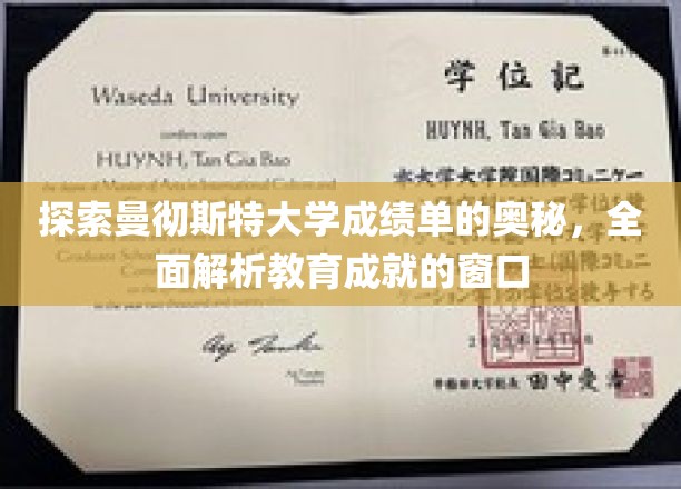 解码曼大成绩单，洞察学子成就的秘密之门