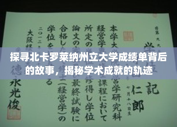 解码北卡罗莱纳大学成绩单，探寻学术辉煌的足迹