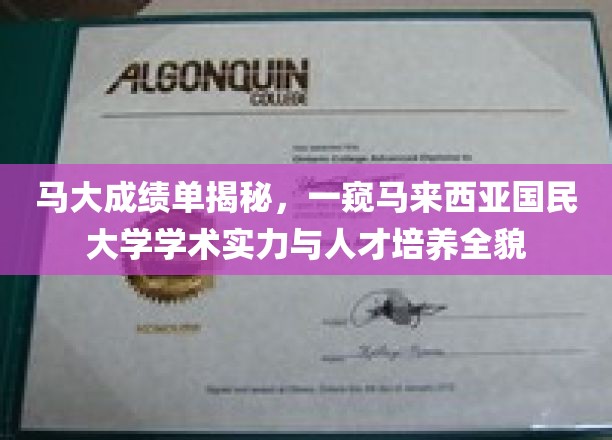 马大成绩单揭秘，一窥马来西亚国民大学学术实力与人才培养全貌