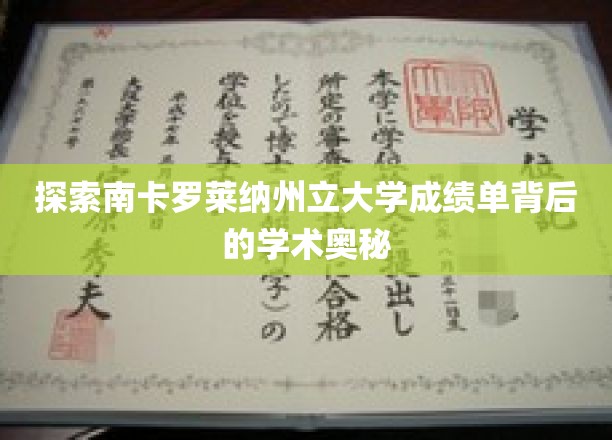 解码南卡罗莱纳州立大学成绩单的学术秘境