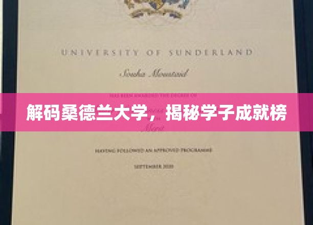 桑德兰学子荣耀录，探寻大学的非凡成就之路