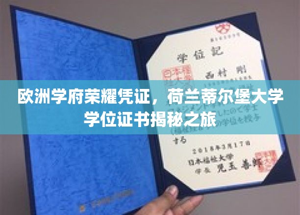 欧洲学府荣耀凭证，荷兰蒂尔堡大学学位证书揭秘之旅