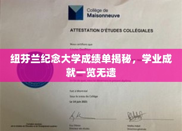 解码纽芬兰纪念大学成绩单，学子成就尽收眼底