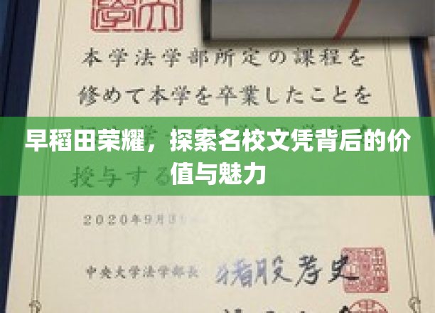 解码早稻田，名校文凭的价值魅力大揭秘