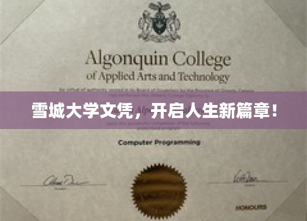 雪城大学荣耀通行证，解锁人生新境界！