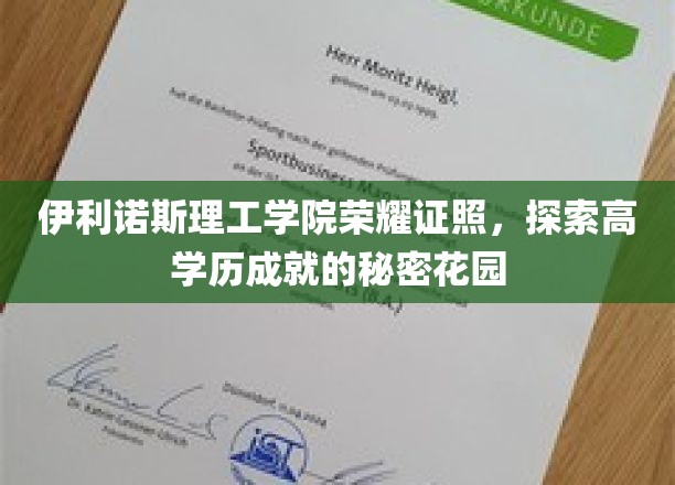 伊利诺斯理工骄子荣耀，揭秘世界级高学历成就的摇篮之旅