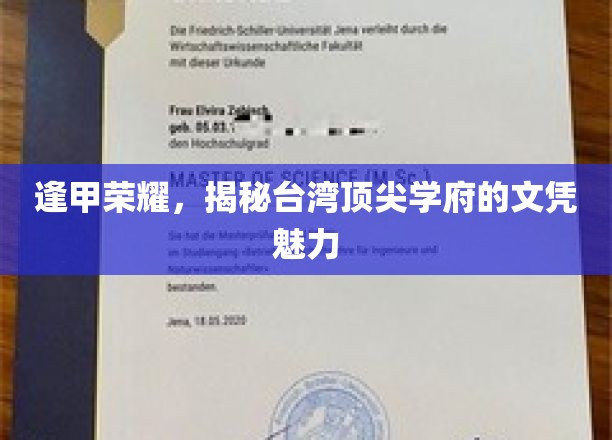 台湾精英摇篮，逢甲大学文凭的璀璨价值揭秘