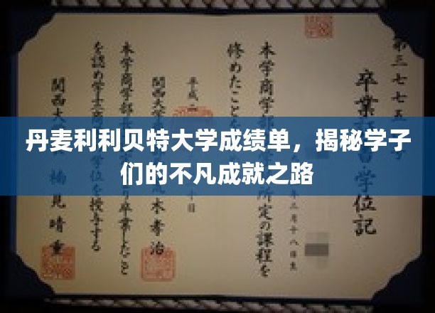 探索丹麦利利贝特大学学子非凡成就背后的精彩篇章