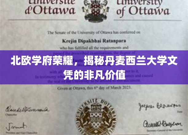 北欧学府荣耀，揭秘丹麦西兰大学文凭的非凡价值