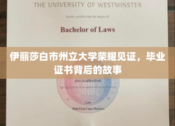伊丽莎白市州立大学荣耀见证，毕业证书背后的故事