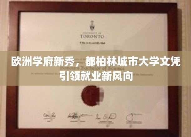 欧洲学府新秀，都柏林城市大学文凭引领就业新风向