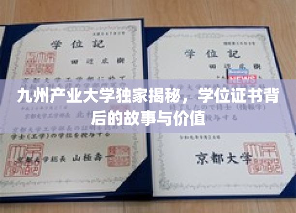 学位证书背后的秘密，九州产业大学独家探秘
