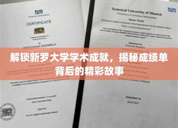 探寻新罗大学学术荣耀，揭开成绩单背后的传奇篇章
