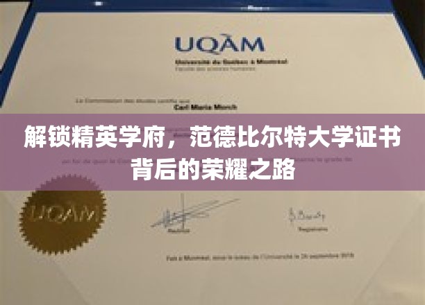 探寻精英摇篮，范德比尔特大学证书背后的辉煌征程