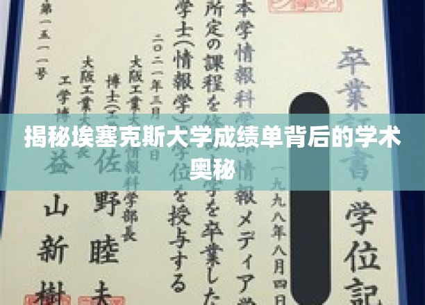 解码埃塞克斯大学成绩单，一窥学术真谛的神秘面纱
