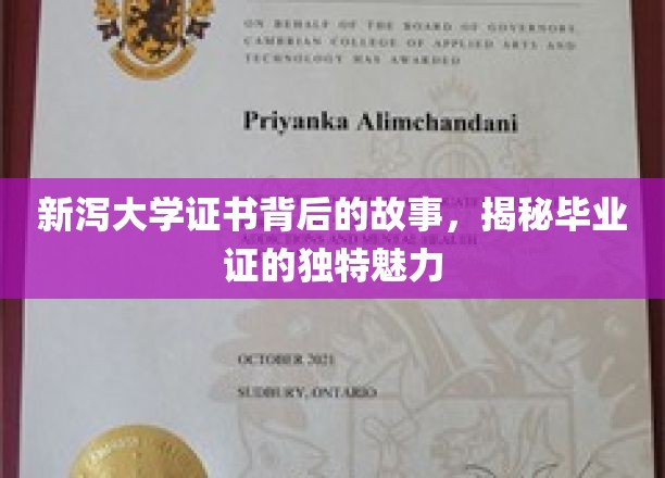 探寻新泻大学毕业证的秘密，证书背后的独特文化魅力