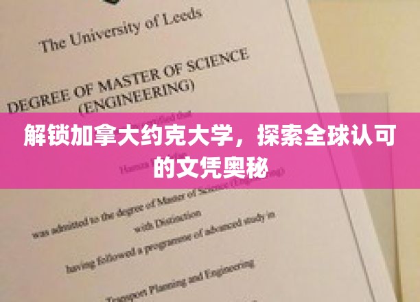 解锁加拿大约克大学，探索全球认可的文凭奥秘