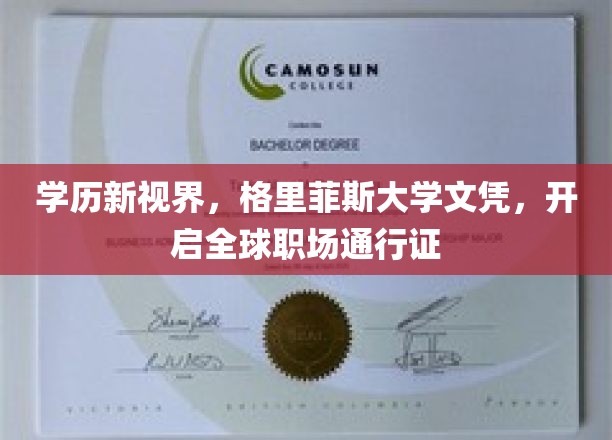 格里菲斯大学文凭，开启全球职场新篇章