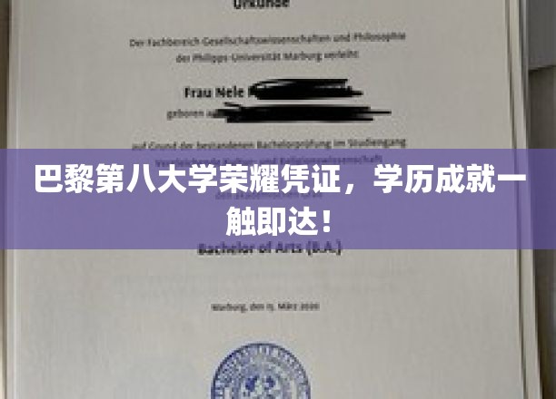 巴黎第八大学荣耀通行证，解锁学历巅峰之旅！