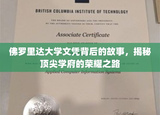 解码佛罗里达大学，探寻顶尖学府的荣耀轨迹