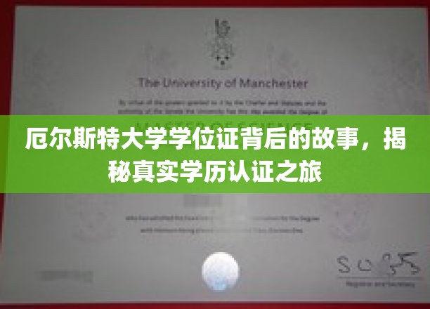 探寻厄尔斯特大学学位证之谜，一场真实的学历认证揭秘之旅