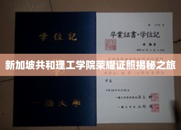 解码新加坡共和理工学院，荣耀证照背后的故事之旅