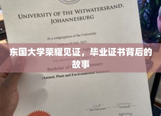 东大荣耀传承，揭秘毕业证书背后的传奇历程