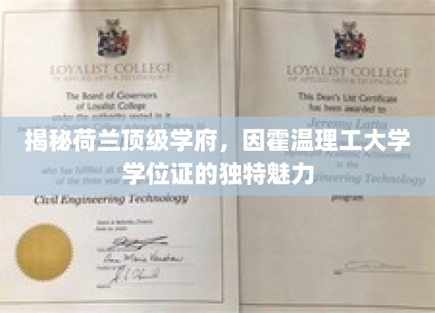 解锁霍温理工，探秘荷兰名校学位证的非凡风采