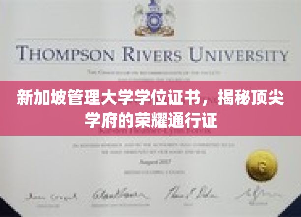 新加坡管理大学学位证书，揭秘顶尖学府的荣耀通行证