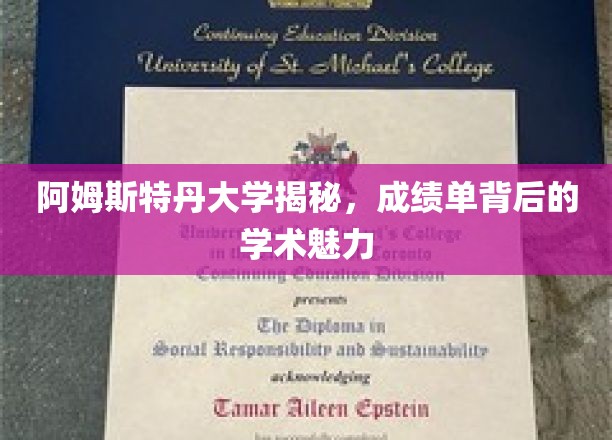 探索阿姆斯特丹大学，揭开成绩单背后的学术风采之谜