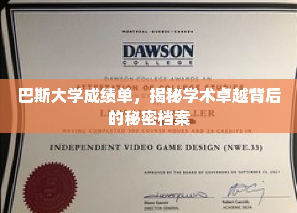 巴斯大学成绩单，探寻学术卓越背后的珍贵档案