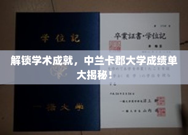 探寻学术宝藏，中兰卡郡大学成绩单背后的秘密揭晓