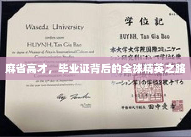 麻省高才，毕业证背后的全球精英之路