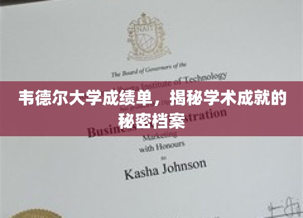 韦德尔大学学霸档案，揭秘学子卓越成就背后的秘密