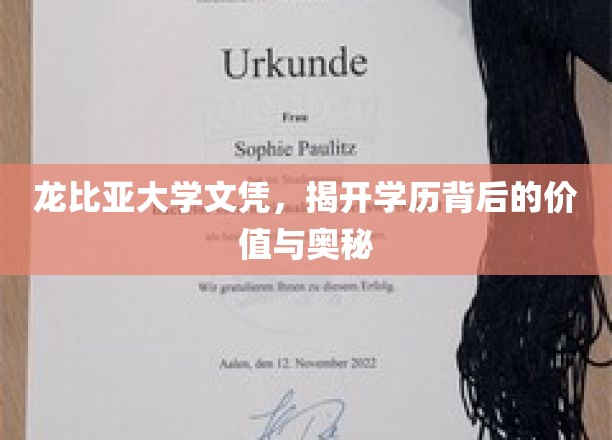 龙比亚大学文凭，探寻学历背后的价值与奥秘