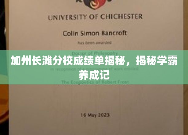 加州长滩分校学霸养成记，揭秘高分背后的秘密