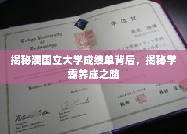 揭秘澳国立大学成绩单背后的故事，探寻学霸成长之路
